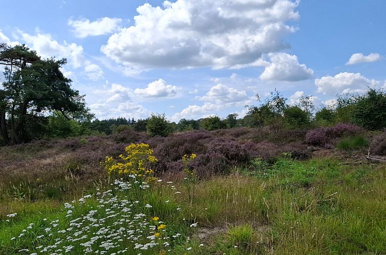 2 persoons vakantiehuis bij een boerderij in Beerzerveld