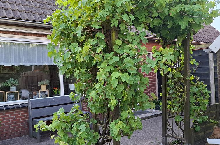 2 persoons vakantiehuis bij een boerderij in Beerzerveld