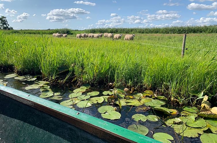 Huisje in Giethoorn