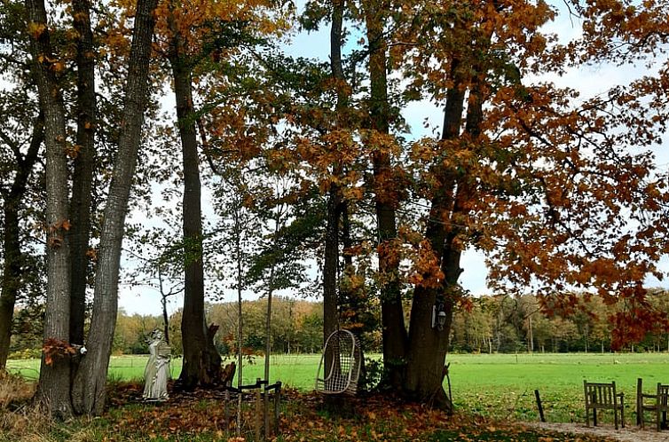 Vakantiehuisje in De Bult