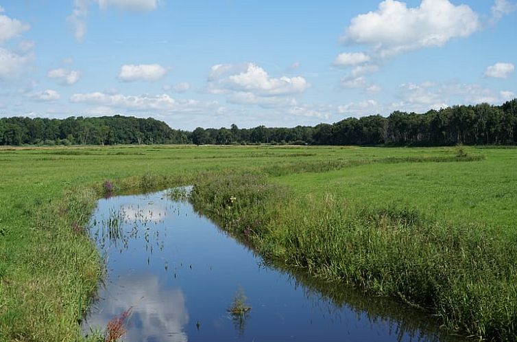 Huisje in IJhorst