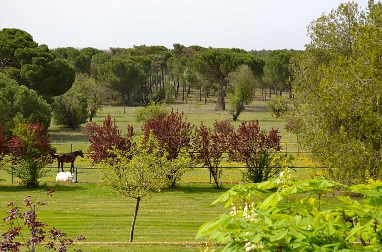 Posada Real del Pinar