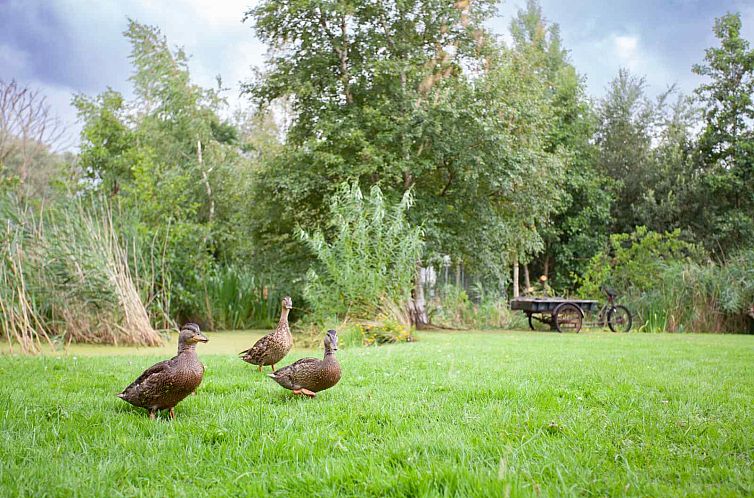 Vrijstaand 6 persoons vakantiehuis in Kalenberg in De