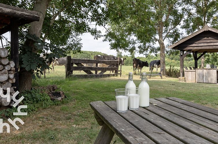 4 persoons vakantiehuis gelegen aan de rand van natuurgebied