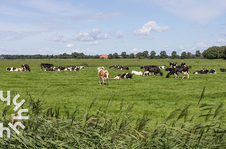 Landelijk gelegen 2 persoons vakantiehuis met groot terras