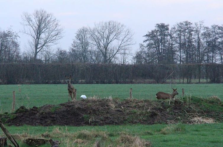 Huisje in Breukelen