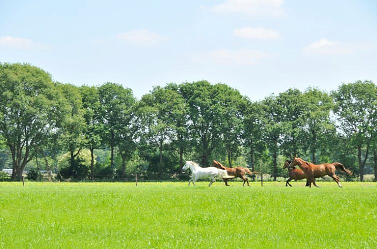 Vakantiehuisje in Soest