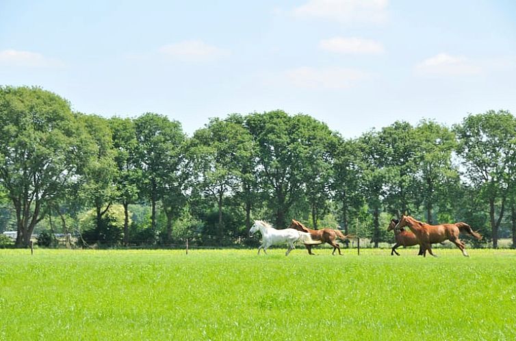 Huisje in Soest