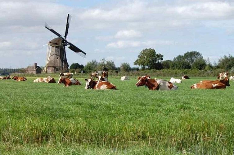 Boerderijappartement voor 7 personen aan de Vecht