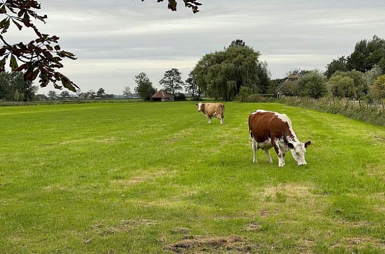 Huisje in Nieuwer Ter Aa