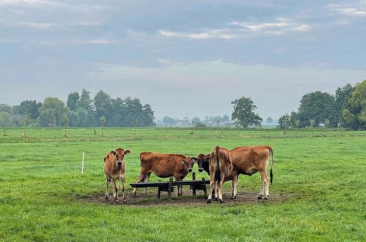 Huisje in Nieuwer Ter Aa