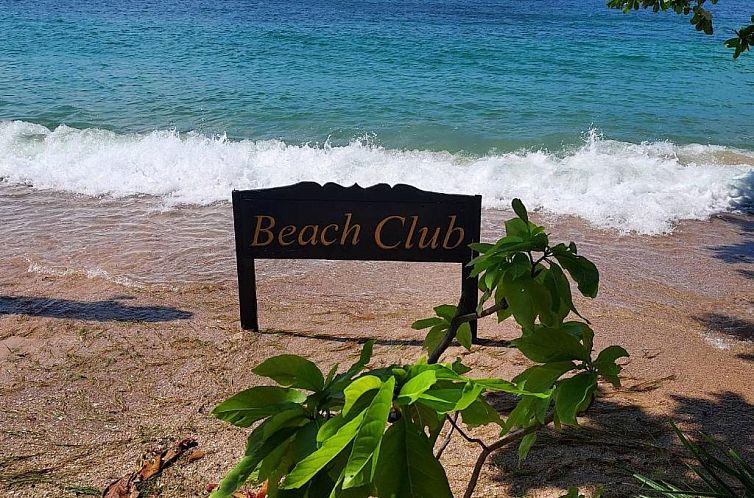 Koh Tao Beach Club