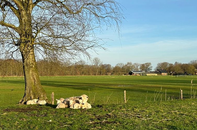 Vakantiehuisje in Overberg