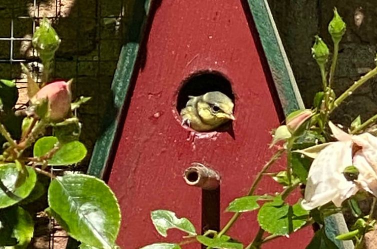 Vakantiehuis in Doorn