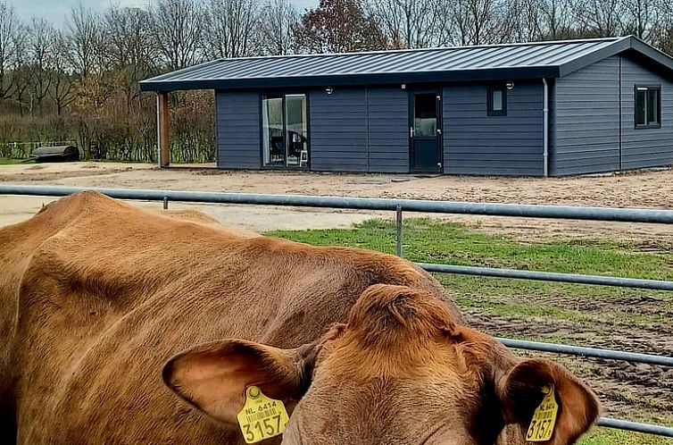 Huisje in Doorn