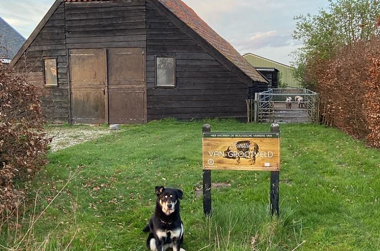 Huisje in Doorn