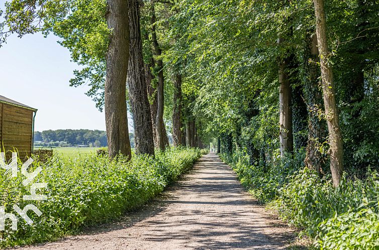 Vrijstaand 12 persoons appartement met landelijk uitzicht