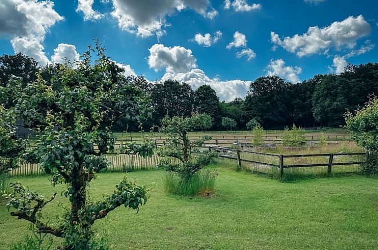 Vakantiehuisje in Rhenen