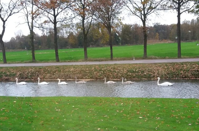 Huisje in Langbroek