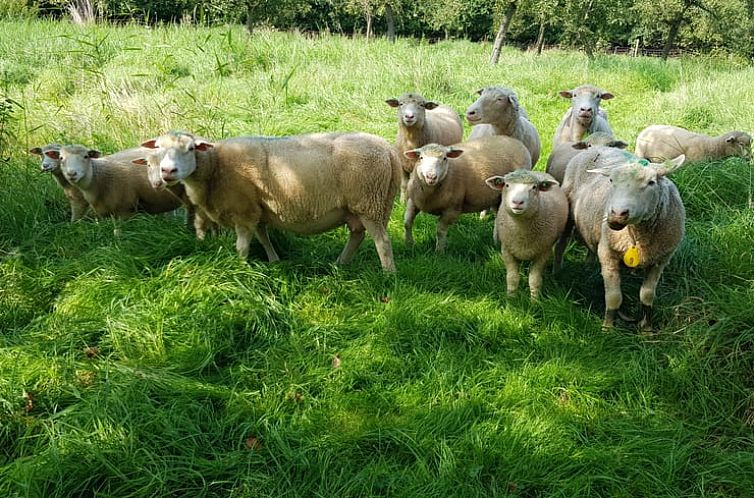 Vakantiehuisje in Langbroek