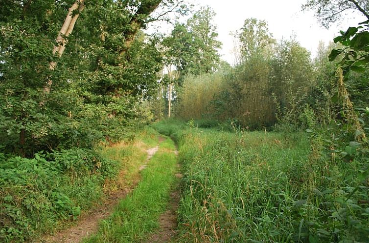 Vakantiehuisje in Langbroek