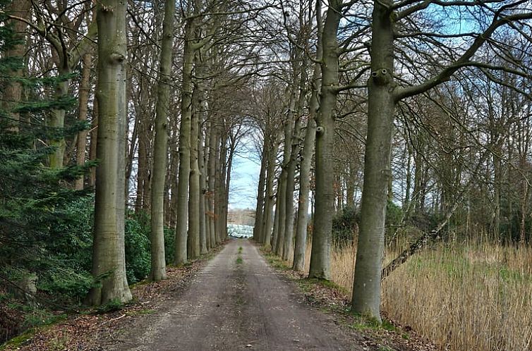 Vakantiehuisje in Langbroek