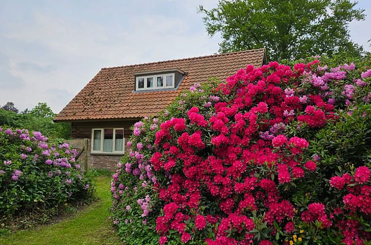 Vakantiehuisje in Langbroek