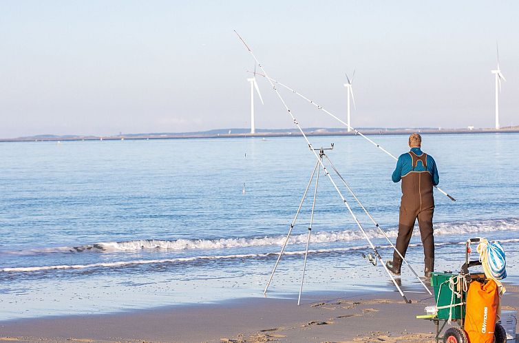 Noordzee Résidence De Banjaard 12