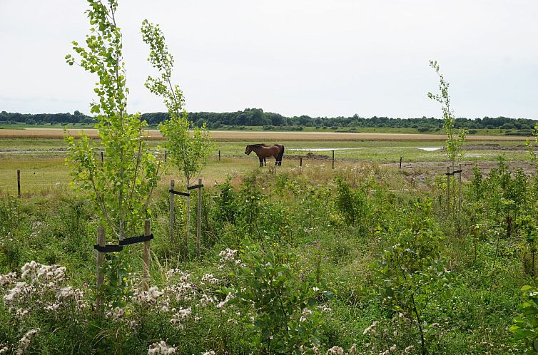 Jacobadijk 23 | Landelijk