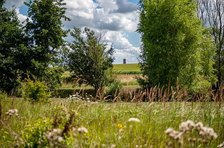 Vakantiehuisje in Burgh- Haamstede