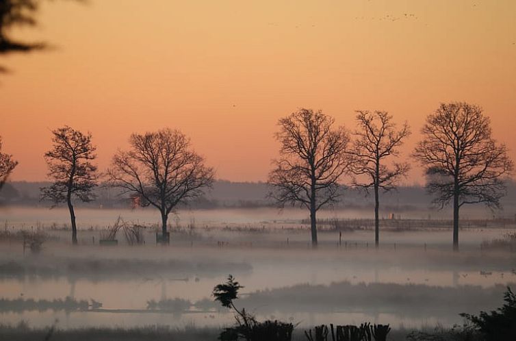 Huisje in Renesse