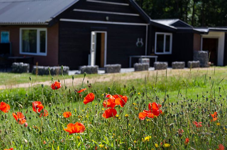 Huisje in Renesse