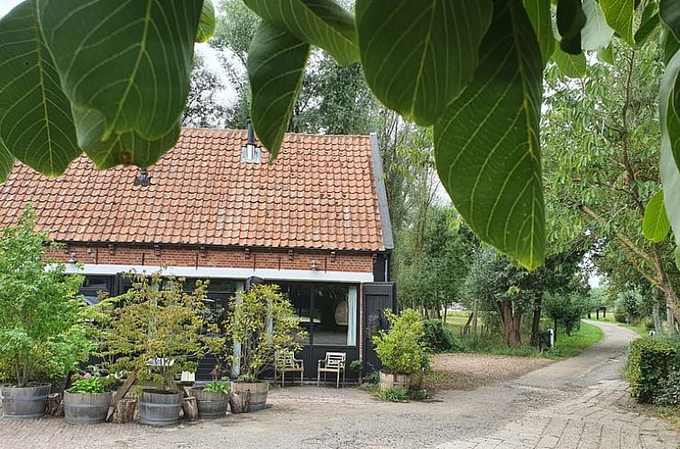 Vakantiehuis in Kerkwerve