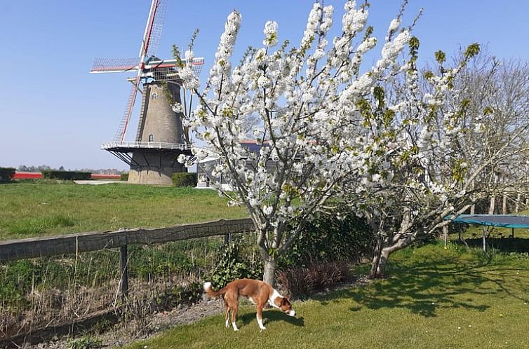 Vakantiehuisje in Zonnemaire