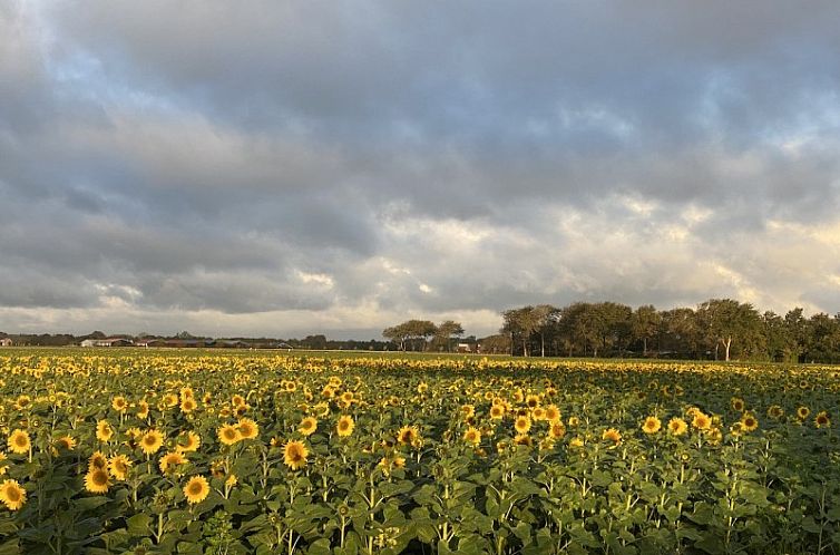 Buitenplaats Oudendijke 6-7 pers