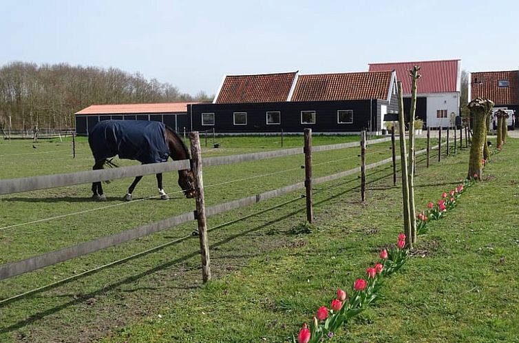 Huisje in Noordgouwe