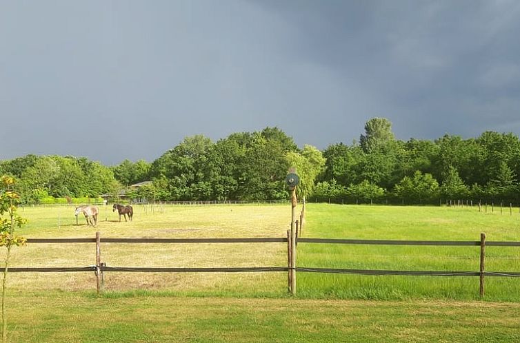 Huisje in Noordgouwe