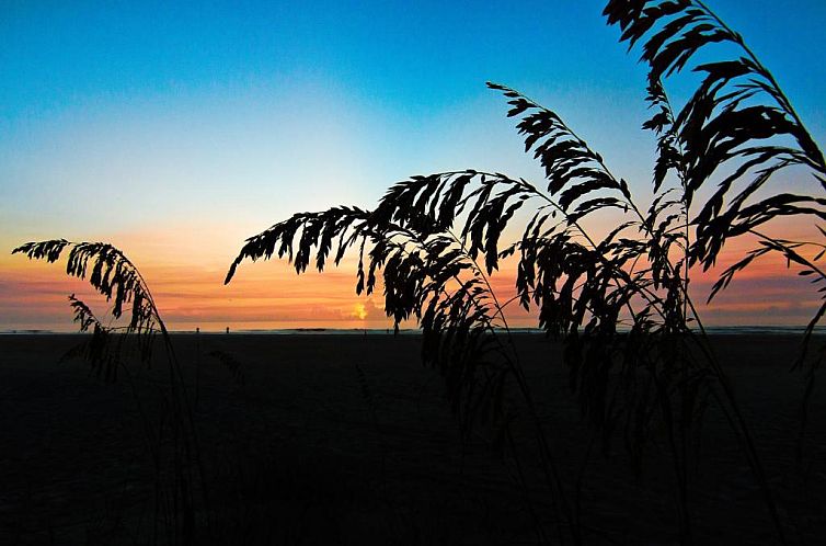 Guy Harvey Resort on Saint Augustine Beach