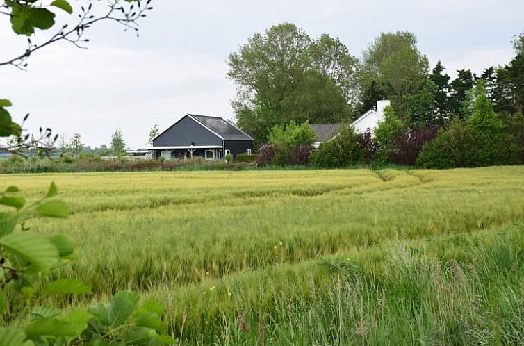 Huisje in Koudekerke