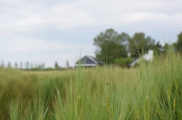 Huisje in Koudekerke