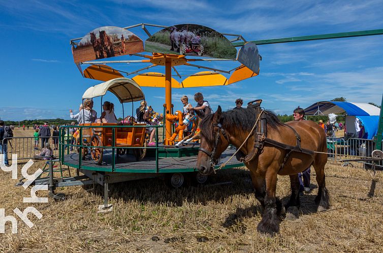 Ruime 6-persoons vakantiewoning op loopafstand van het