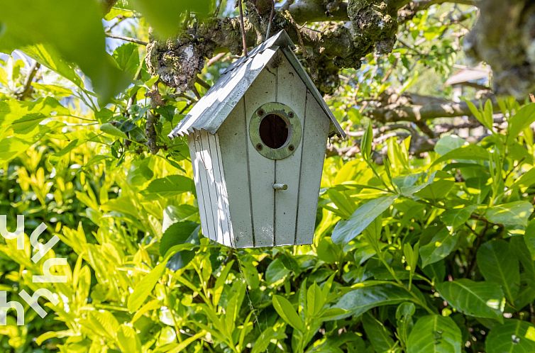 Landelijk gelegen 6 persoons vakantiewoning met