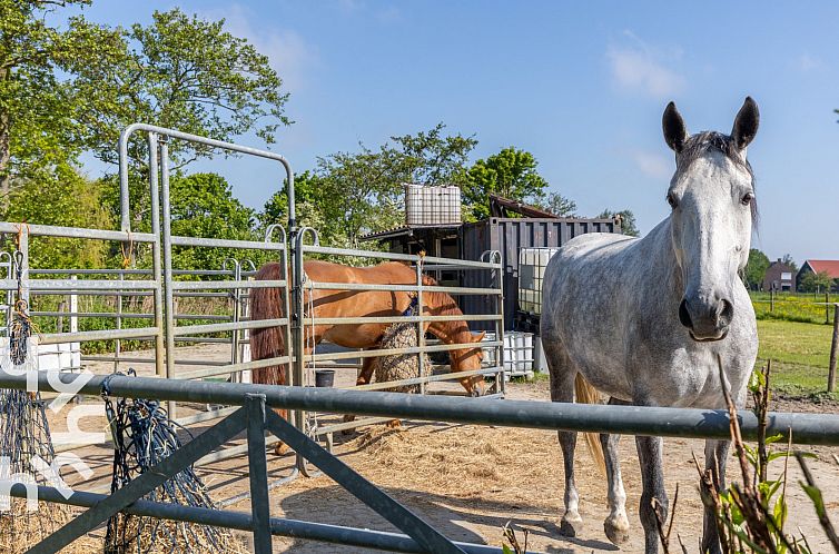 Landelijk gelegen 6 persoons vakantiewoning met