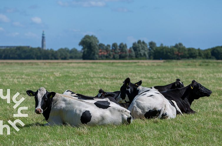 Landelijk gelegen 6 persoons vakantiewoning met