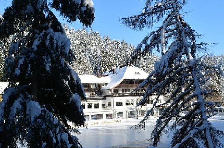 Hotel Langenwaldsee