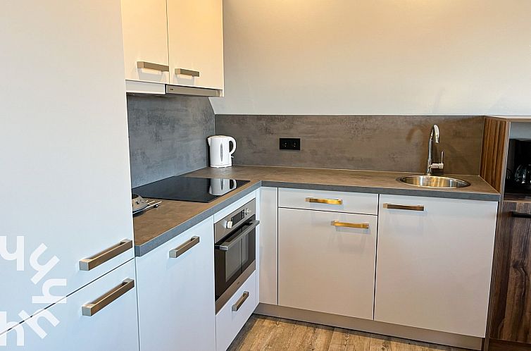 Modern 4-persoons appartement met sauna dichtbij zee en