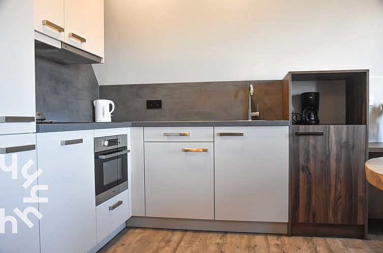 Modern 4-persoons appartement met sauna dichtbij zee en