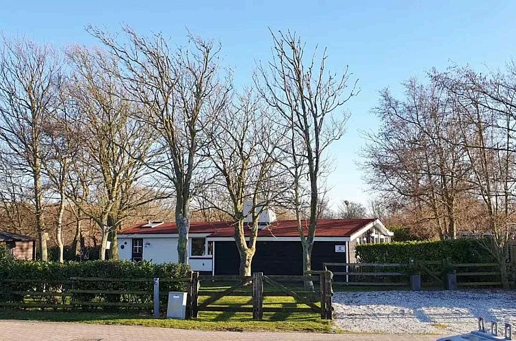 Sfeervolle 6-persoons vakantiebungalow onderaan de duinen