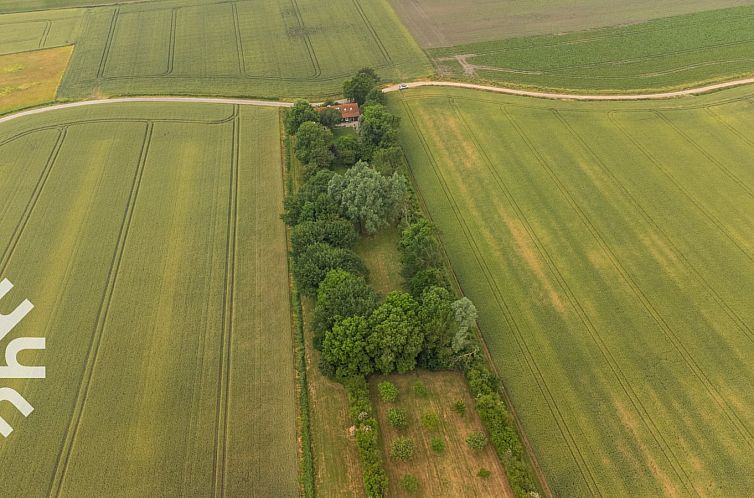 Gezellig 10-persoons vakantiehuis met ruime tuin landelijk