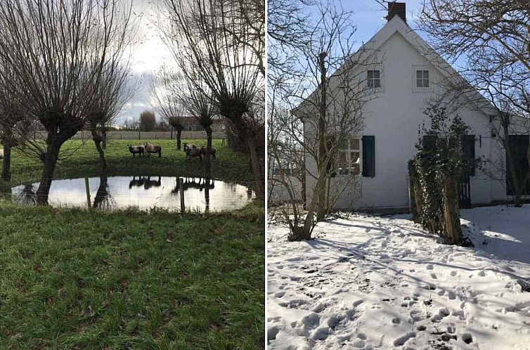 Sfeervolle 8-persoons vakantieboerderij dichtbij de zee en